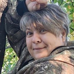 �������, ������������, 41 ���