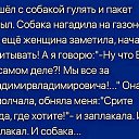 ���� �������, ��������������, 43 ���� - ��������� 22 ������� 2023 � ������ ������ ��������
