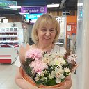 ���� ���������, ������, 62 ���� - ��������� 14 ���� 2024 � ������ ���� ����������