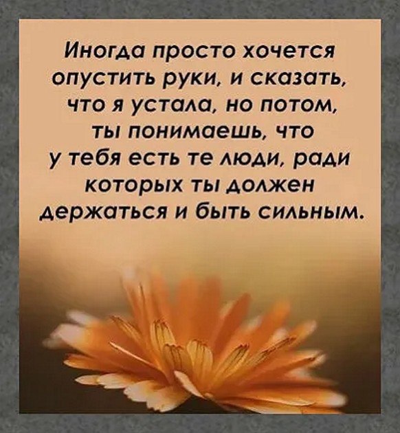 ☆������ �������☆ - 2 ������ 2026 � 08:21