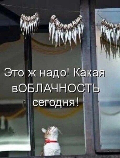   - 5  2024  17:58