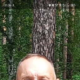 �����, 44 ����, ������