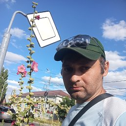 , 36,  