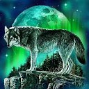 ���� ������, �����, 47 ��� - ��������� 1 ����� 2024