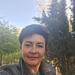 , 56, 