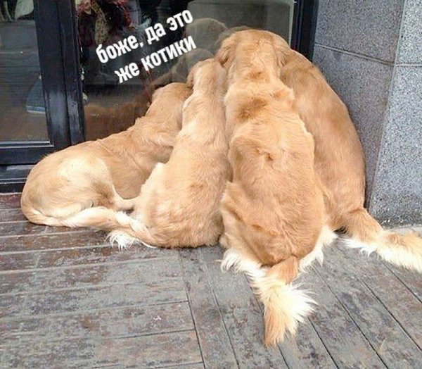      - 2