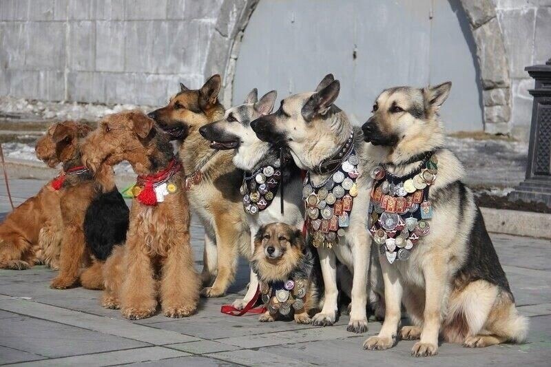 13 ����� - ���� �����-���������. -------------------------------- � ���� ������� ������������� ����� ... - 2