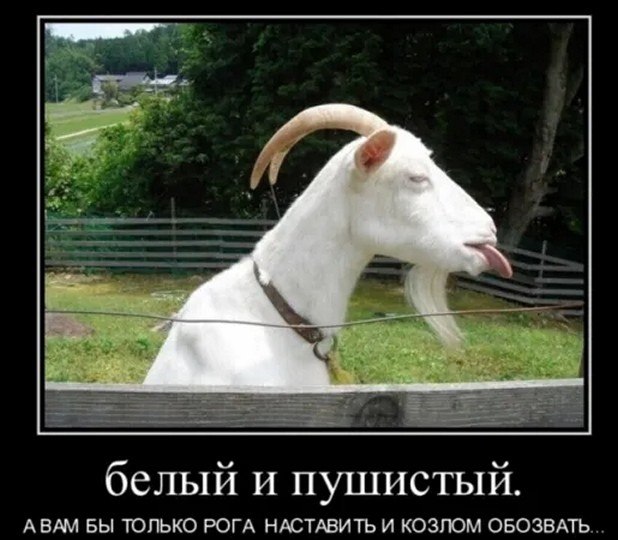 ☆ ☆ - 27  2025  16:24