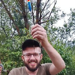 ������, 41 ���, ����