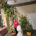  , -, 49  -  23  2025    