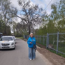 , 65, 