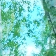 �������, 65 ���, ����