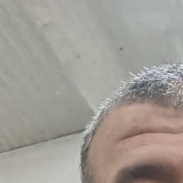 ����, �����������, 42 ����