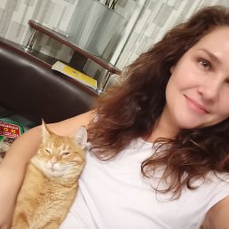 ����, ������, 41 ���