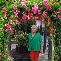 ���� Lida, �����, 67 ��� - ��������� 13 ���� 2026