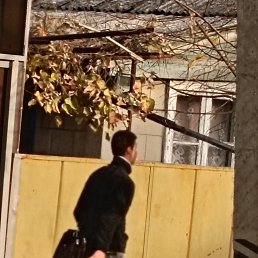 ���� �����, ������, 50 ��� - ��������� 26 ������� 2023