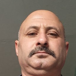 �����, �����-���������, 50 ���