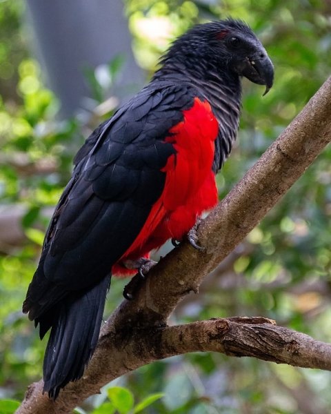 - -       .     .  ... - 5