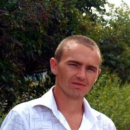 �����, 37 ���, ������