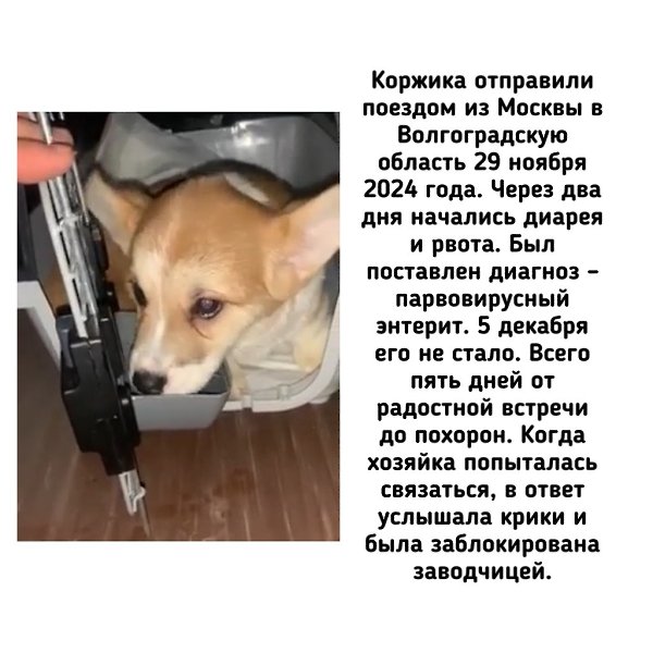 �� - ������������ ������ ������������ �� �������� ��������� (��������) �� ������ ����� (���������� ... - 3