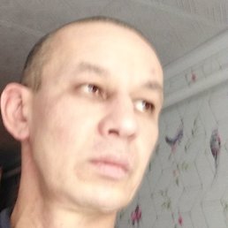 ������, ������-��-����, 41 ���