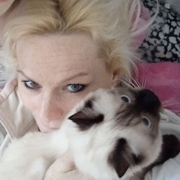 ����, �����, 49 ���