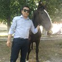 ���� Nik, ������, 38 ��� - ��������� 14 ��� 2024 � ������ ���� ����������