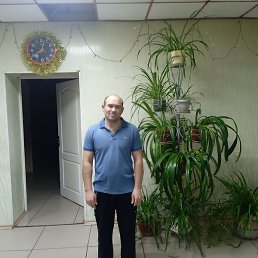 ������, ������, 36 ���