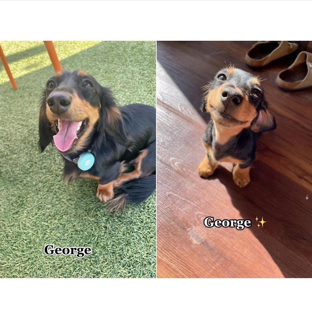  :3 - 3