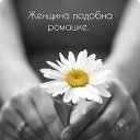 ���� ������, ����������������� - ��������� 19 ���� 2026 � ������ ������ ��������