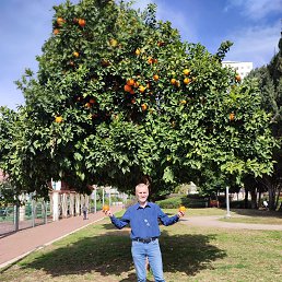 ���� ���������, ������������, 58 ��� - ��������� 4 ������� 2025