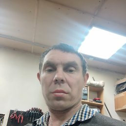 ����, 41 ���, ����