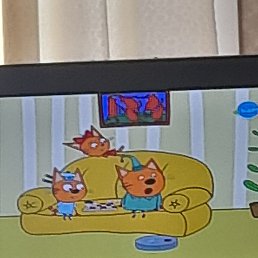 ����, ������������, 37 ���