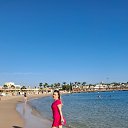 ���� ����, ���������, 48 ��� - ��������� 3 ������ 2026 � ������ ���� ����������