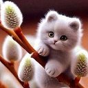 ���� ����, ���������, 37 ��� - ��������� 31 ����� 2026 � ������ ���� ����������