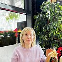 ���� ������, �����������, 40 ��� - ��������� 20 ��� 2026 � ������ ���� ����������