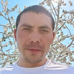 , 37, 