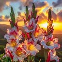 ���� ������, ����������� - ��������� 18 ������� 2026 � ������ ������ ��������