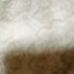 ������, ������, 25 ���