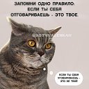 ���� �������, ���������, 44 ���� - ��������� 17 ������ 2026