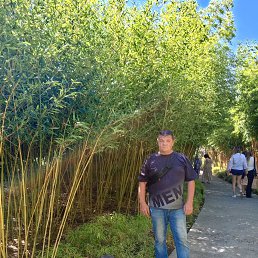 ������, 46 ���, ����