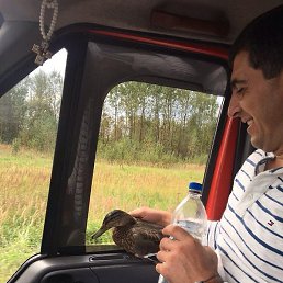 Tigran, ����, 49 ���