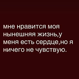 ���� �����, ����� - ��������� 16 ������� 2026