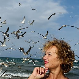 �������, �����-���������, 64 ����