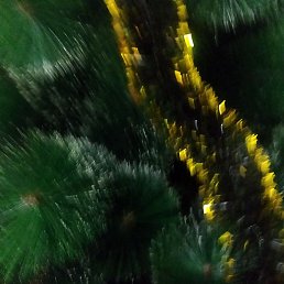 ����, ������, 29 ���