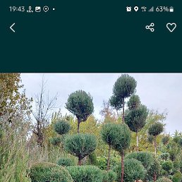 ������, �����, 30 ���