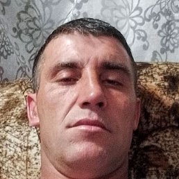 �������, ������, 37 ���