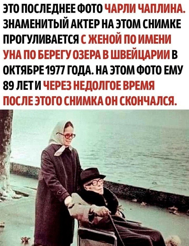 ������ ������� ������