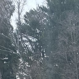 ���������, ��������, 58 ���