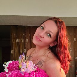 ���� ��������, ���, 42 ���� - ��������� 16 ���� 2026